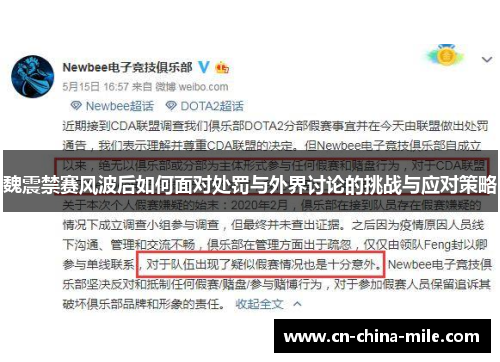 魏震禁赛风波后如何面对处罚与外界讨论的挑战与应对策略