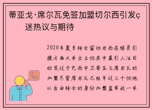 蒂亚戈·席尔瓦免签加盟切尔西引发球迷热议与期待